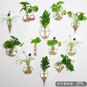 最经典的紫芋西米露经典句子