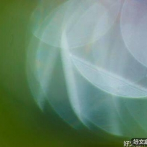 人生在世，不妨多几分自嘲