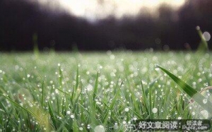 mine优美的句子
