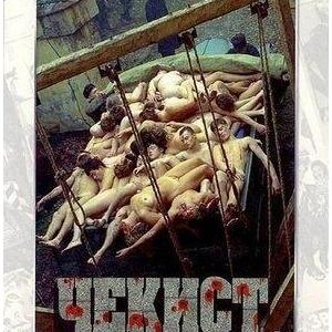 《契卡》经典观后感10篇