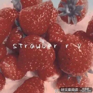 有关抚你眼泪容你脱怀的句子
