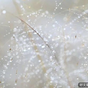 幸福的秘诀（此生必看）