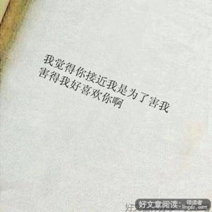 我不喜欢这世界我只喜欢你句子