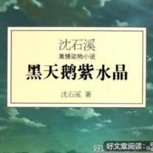 喜欢好词好句