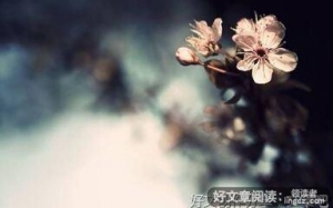 music for heart好词好句