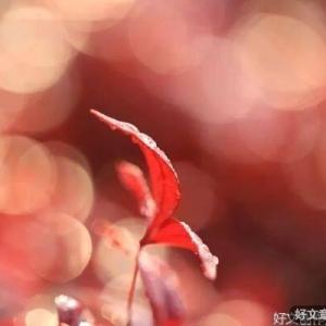 不负今朝，即是最好