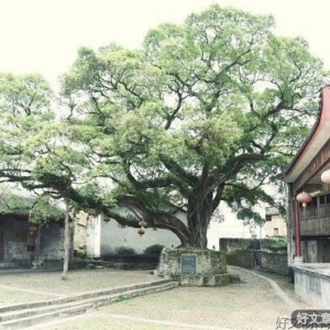 2022，家永远最重要！