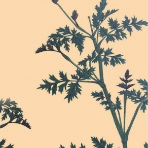 屏风