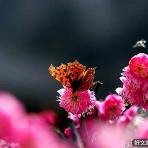 小年——人间最美是团圆！