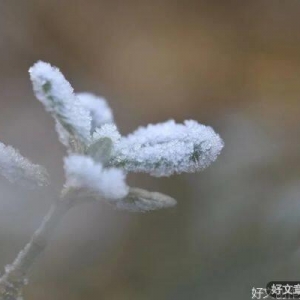 一岁年龄一岁人，时光打磨成熟心