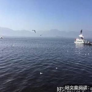 生活情趣经典名句