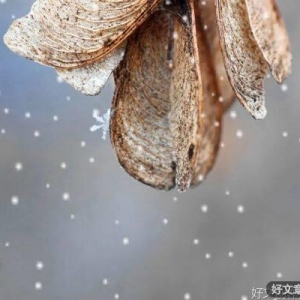 年底，对自己说一声，你辛苦了！