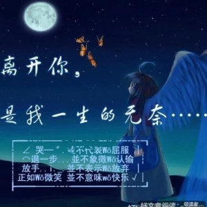 施湾经典的句子