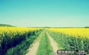 《名人哲理》的句子