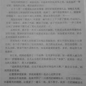 想飞的熊读后感100字
