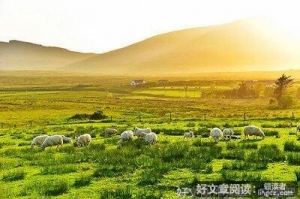 最好的决定读后感1000字