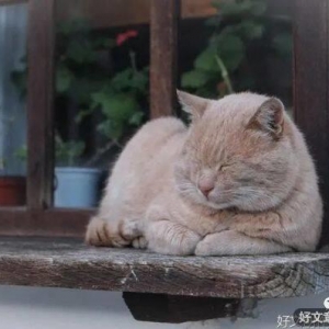 忍住不许笑：2022社会语录