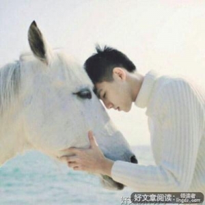 sweet情话