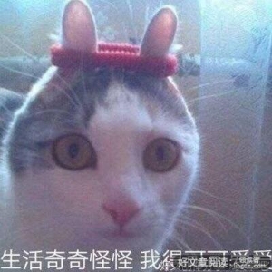 关于一个句集的句子