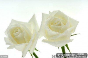 《坚持+成长+毅力》的句子
