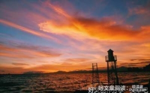 终南有坟，名不老优美的句子