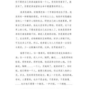 偷影子的人读后感锦集