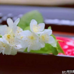 渡人，渡己，渡心