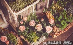 他知道风从哪个方向来优美的句子