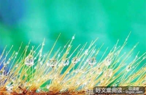 励志经典的句子