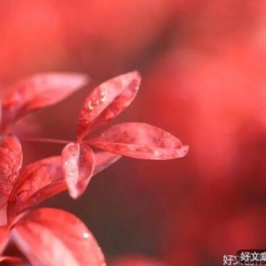 学会自愈，是生命的必修课