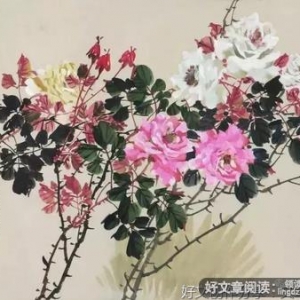 流年名句欣赏