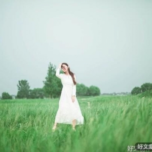 好友的遇见犹如淡淡的花开