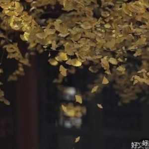 天底下只有三件事，精辟！