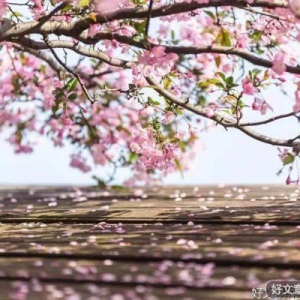 余生，爱得深情，活得有趣
