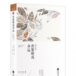 查第格（插图珍藏版）读后感1000字