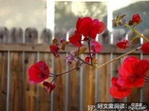 春风十里，不如余生有你