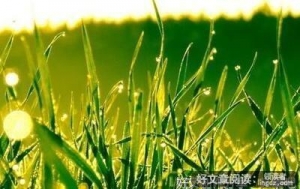 不想结婚，更要努力一点