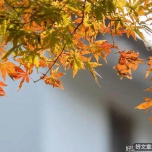 所有过往，都是岁月的恩赐