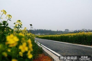 生肖奇谭读后感100字