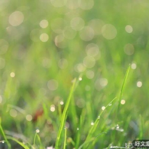 积德虽无人见，行善自有天知