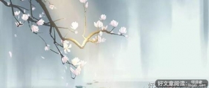 收藏经典语录