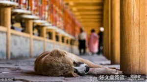 认清爱情句子大全