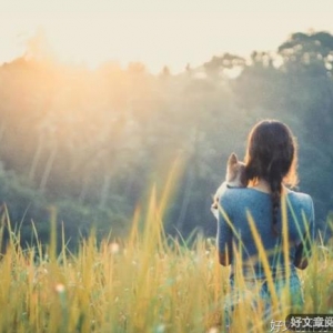 别欺负老实人（写得真好）