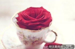 关于爱情的句子