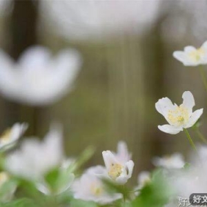 人生看似漫长，其实只有5天！