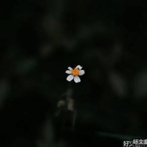 《红楼梦》中的家规：是家规，更是大智慧
