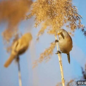 和爸妈虚度的一个下午