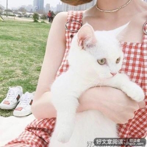 关于年少与终老。的句子