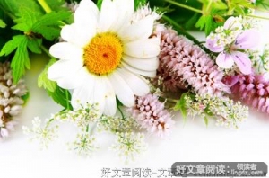 《一仆二主》语录摘抄大全