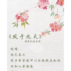 描写来者不拒的经典句子